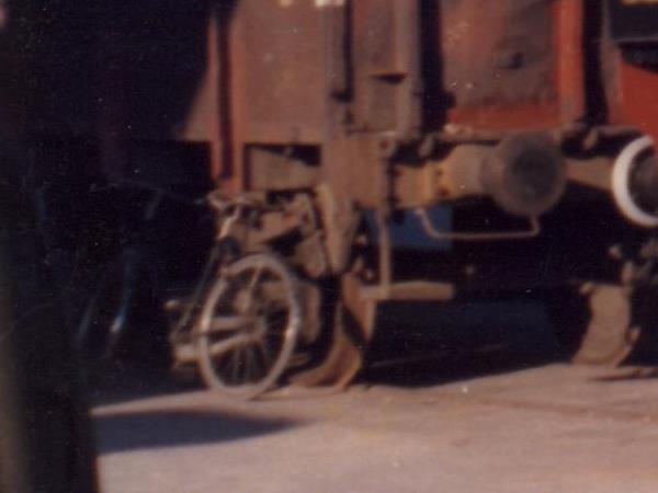 0003 biciclette.jpg