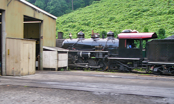 15dollywood.jpg