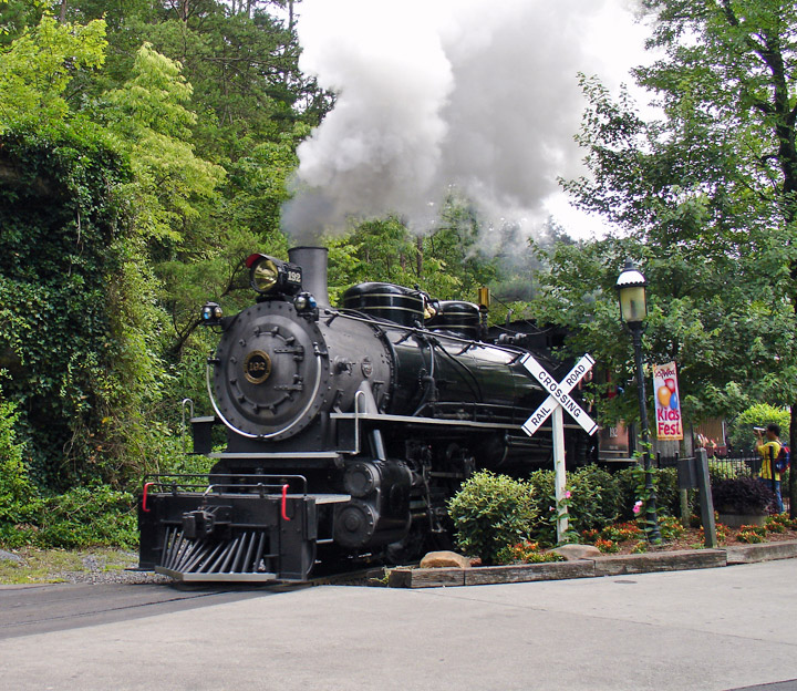 12dollywood.jpg