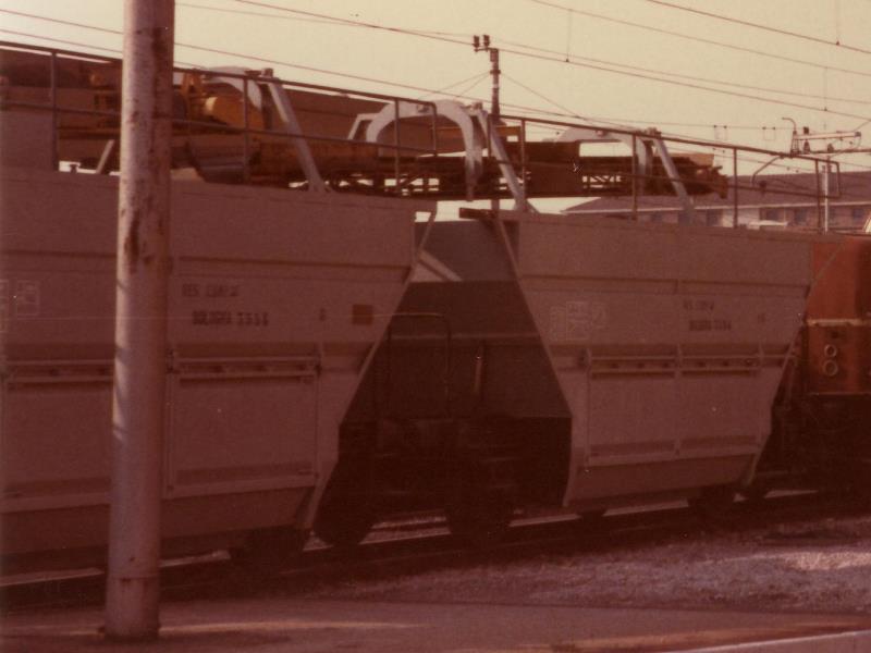 0011 tra.jpg