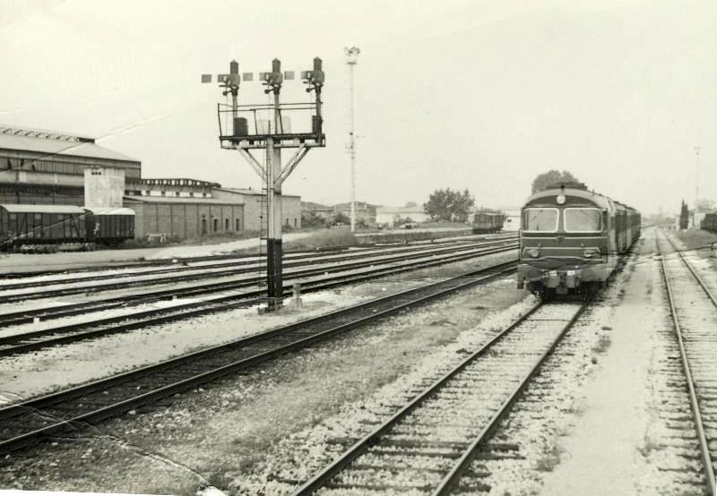 Varie_0007.JPG