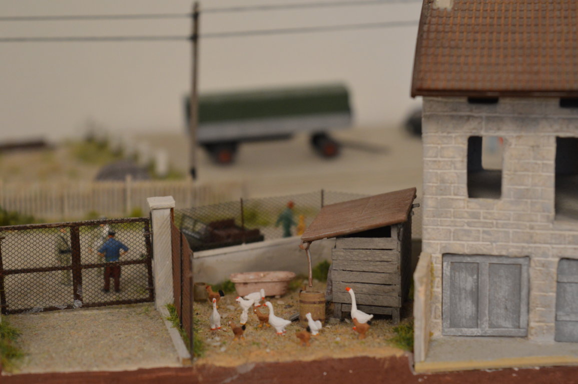 DSC_0104 (FILEminimizer).JPG