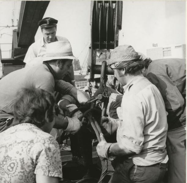 1972 46023 Save0015.jpg