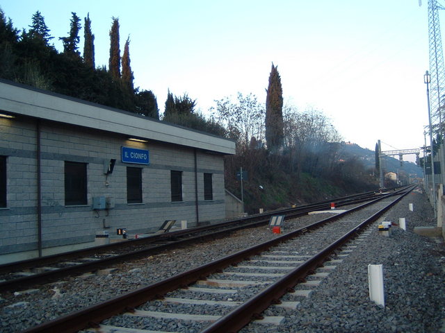 DSCF0019.JPG