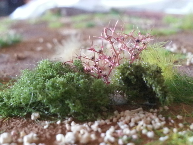 20160806_165948.jpg