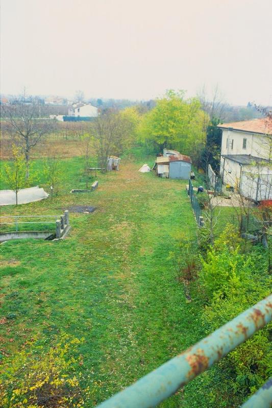 linea.jpg