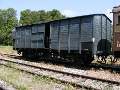 normal_FS_Vs_810272_Paratico_(101).JPG
