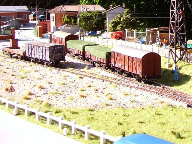 IMGP1529 - Copia mod (FILEminimizer).JPG