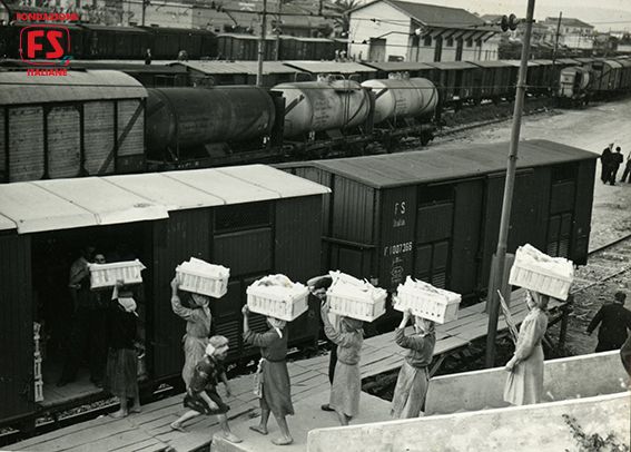 d0f59ce896260be0f3c12075bdbe6eb2[1] (2).jpg