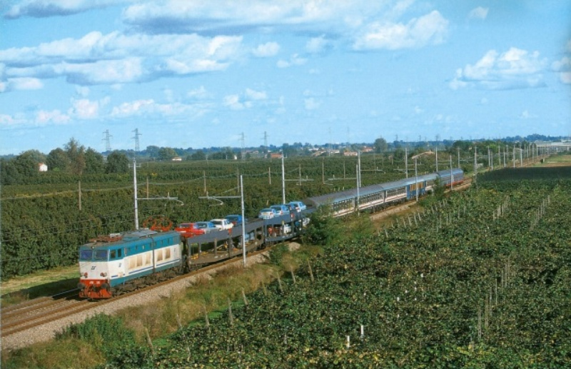 655.jpg