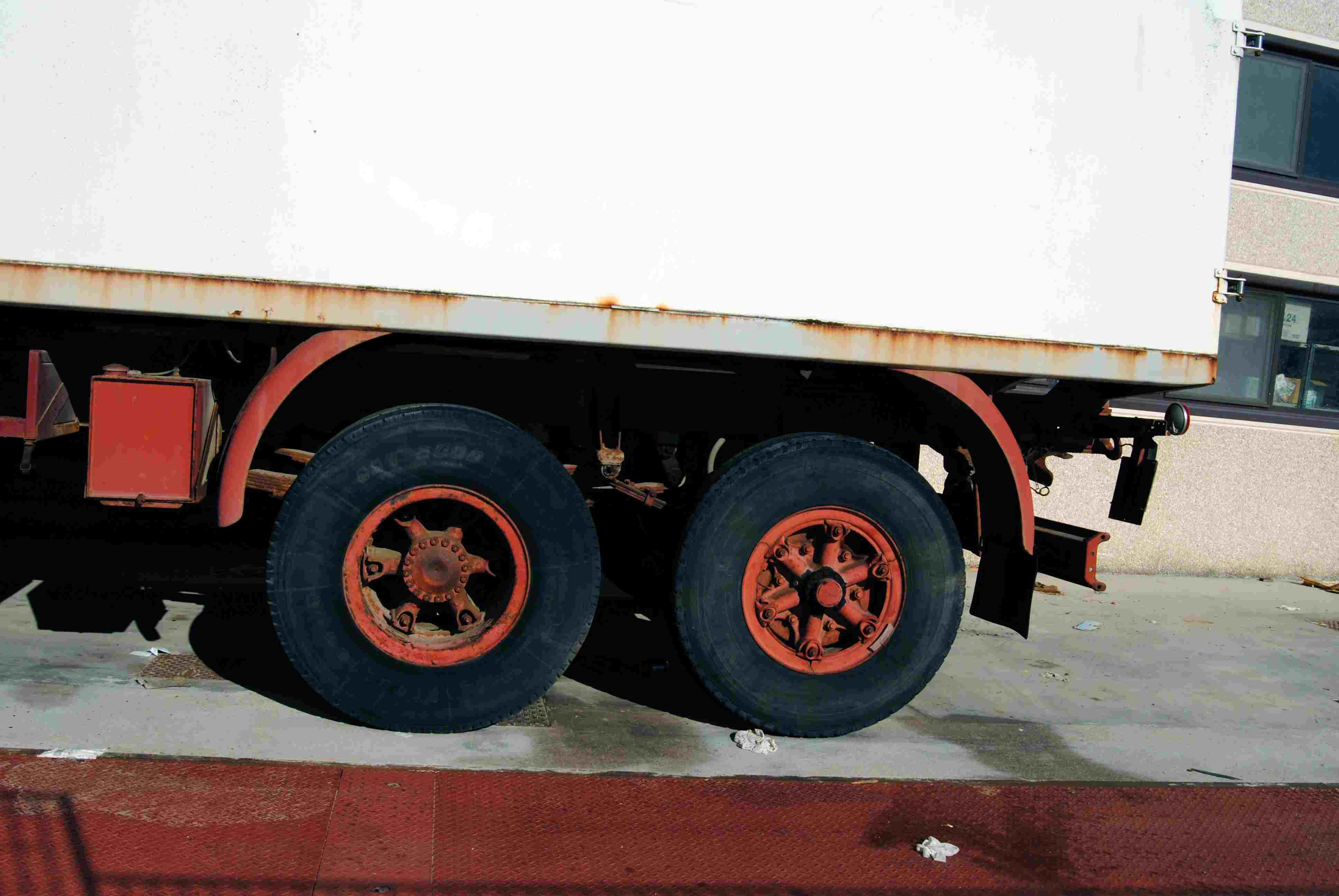 cella7.jpg