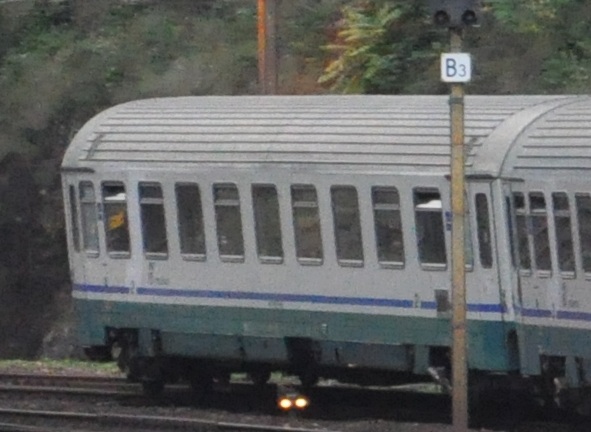 z.jpg
