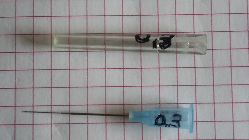 20170805_161655 - Copia.jpg