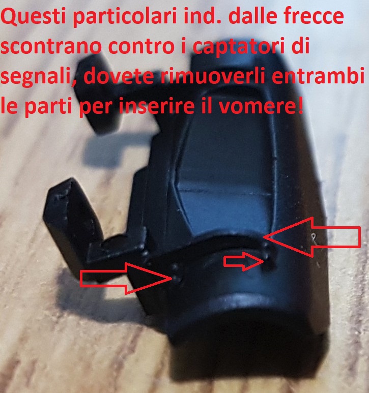 Foto3.jpg