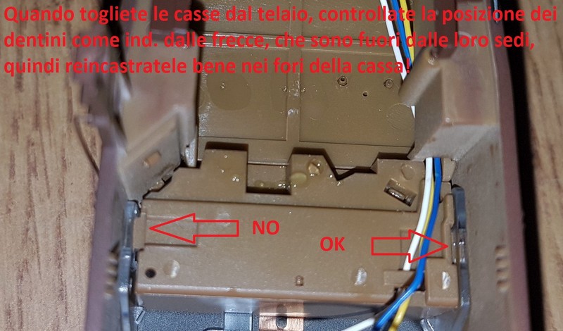Foto4.jpg