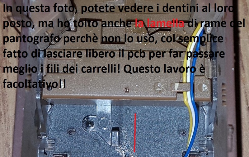 Foto5.jpg