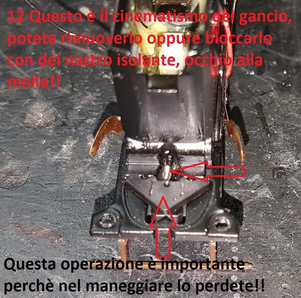 Foto19.jpg