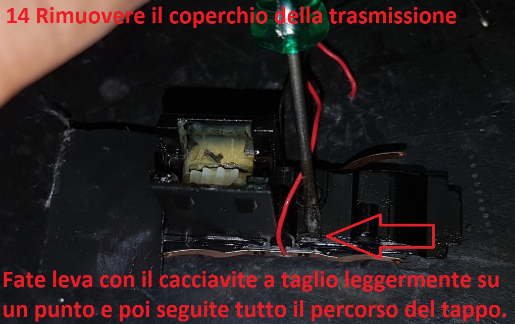 Foto21.jpg