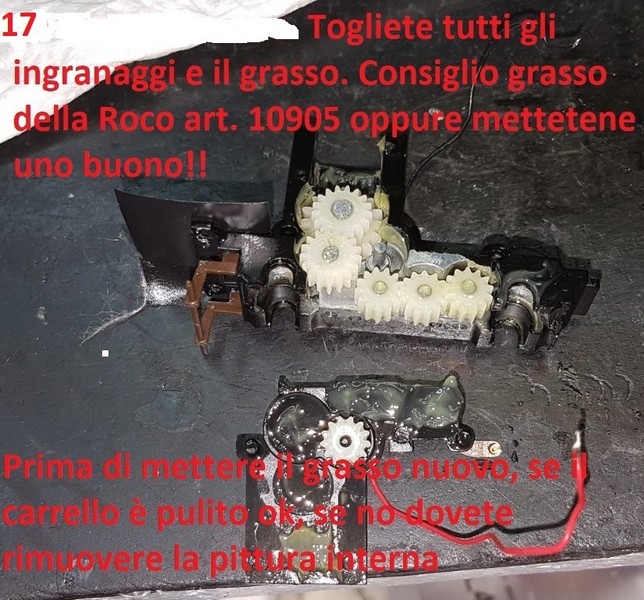 Foto24.jpg