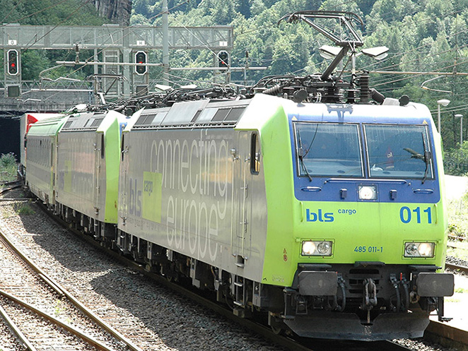 DSC_3082---.jpg