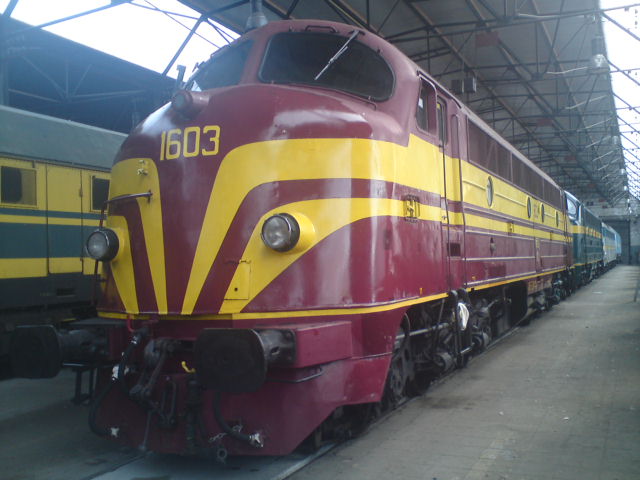 1800.jpg