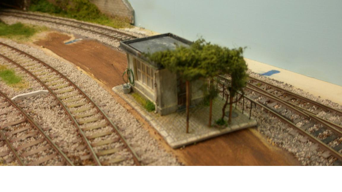 264.31 casottino.JPg