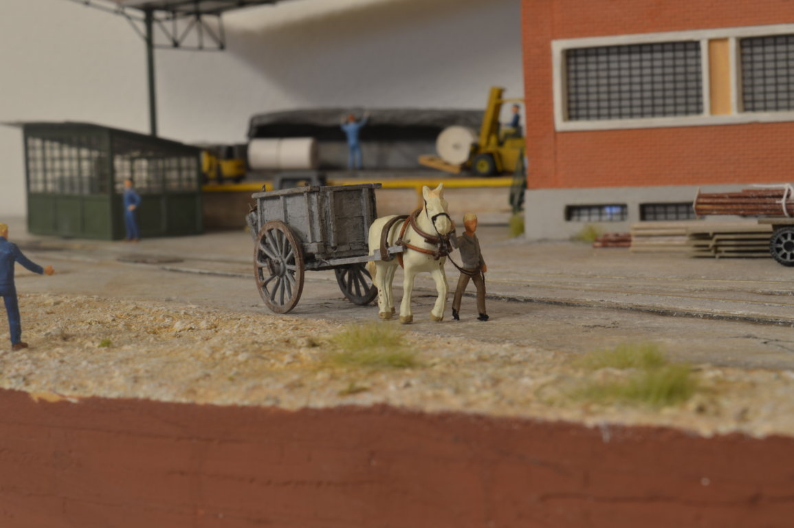 DSC_0220 (FILEminimizer).JPG