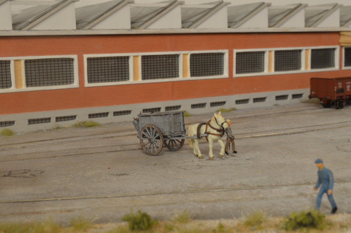 DSC_0228 (FILEminimizer).JPG