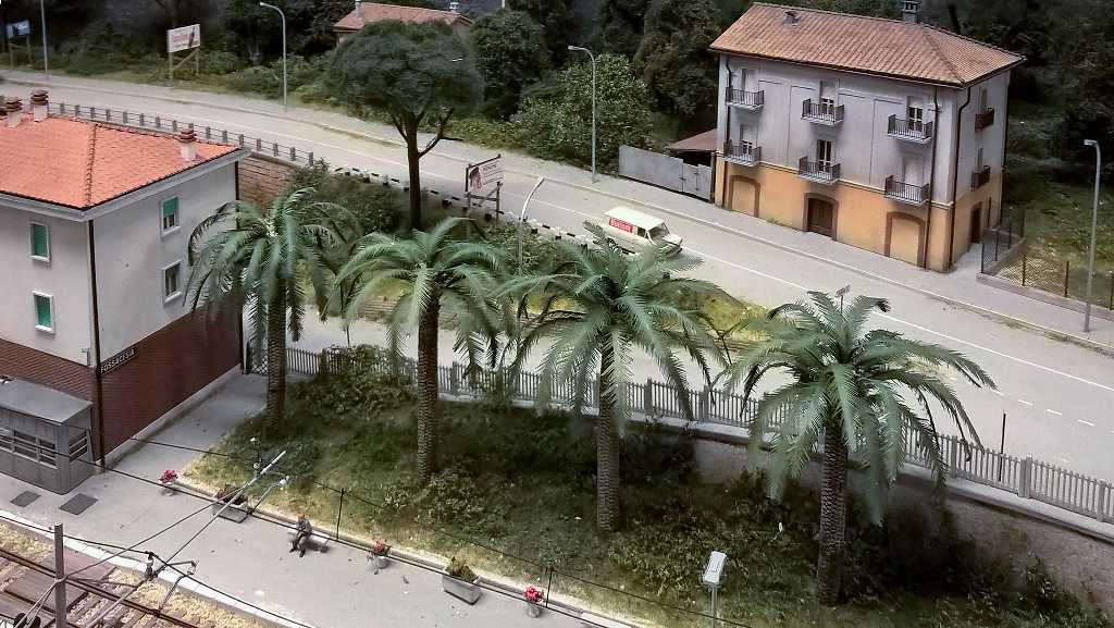 Palme a Fossacesia 1.jpg