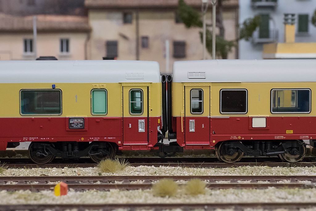 Tee-4.jpg