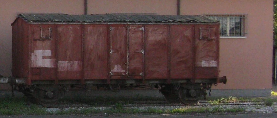 Carro Hg.jpg