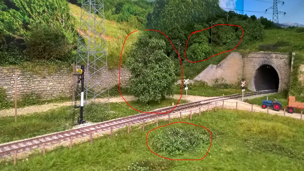 Foto 1.jpg