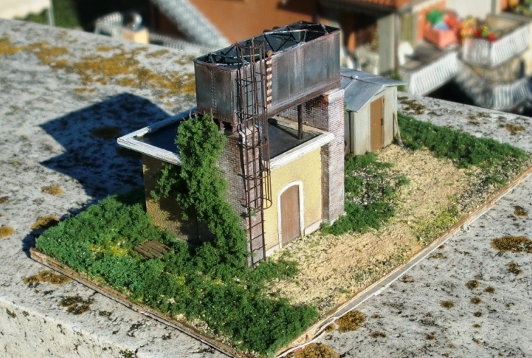 CIMG5014.JPG