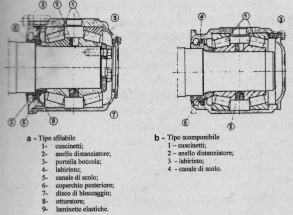 compo sfil.JPG