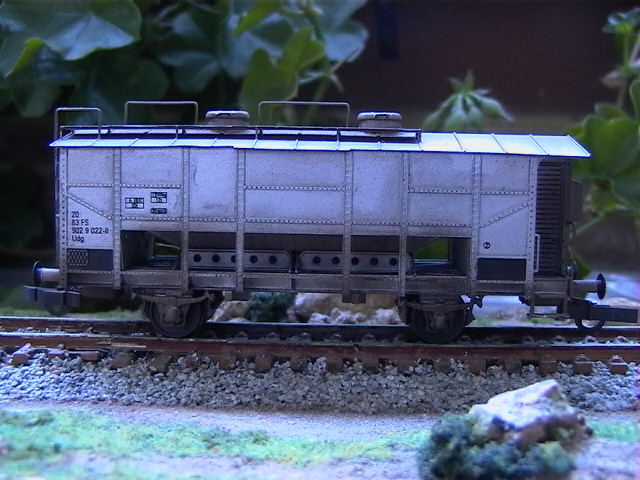 39.jpg