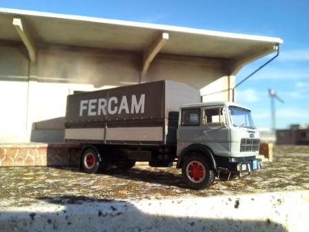 619-fercam-1.jpg