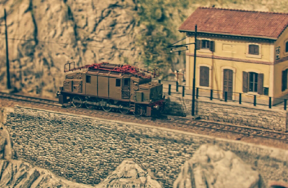 TRNQRTNQ554.jpg