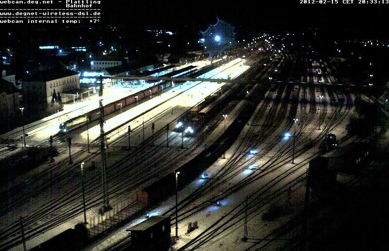 Plattling - 15-02-2012 taurus bicolore.JPG