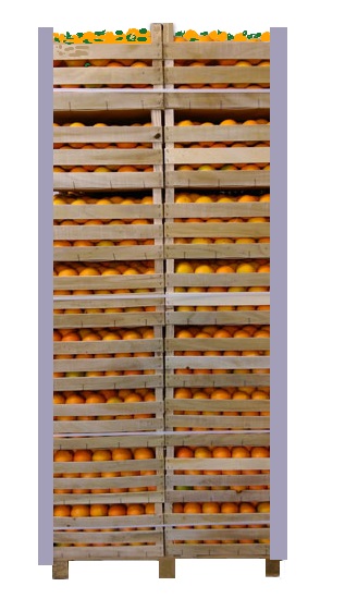 02 PALLET Arance.1.jpg