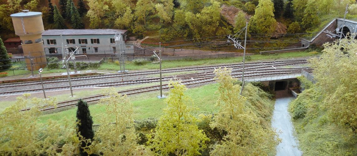 DSC01302 - Copia.JPG