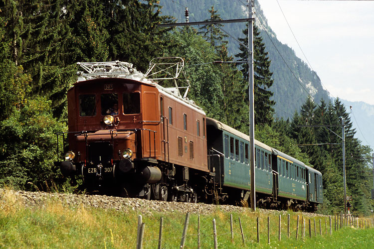 w300102[1].jpg