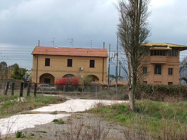 DSCF7537.jpg