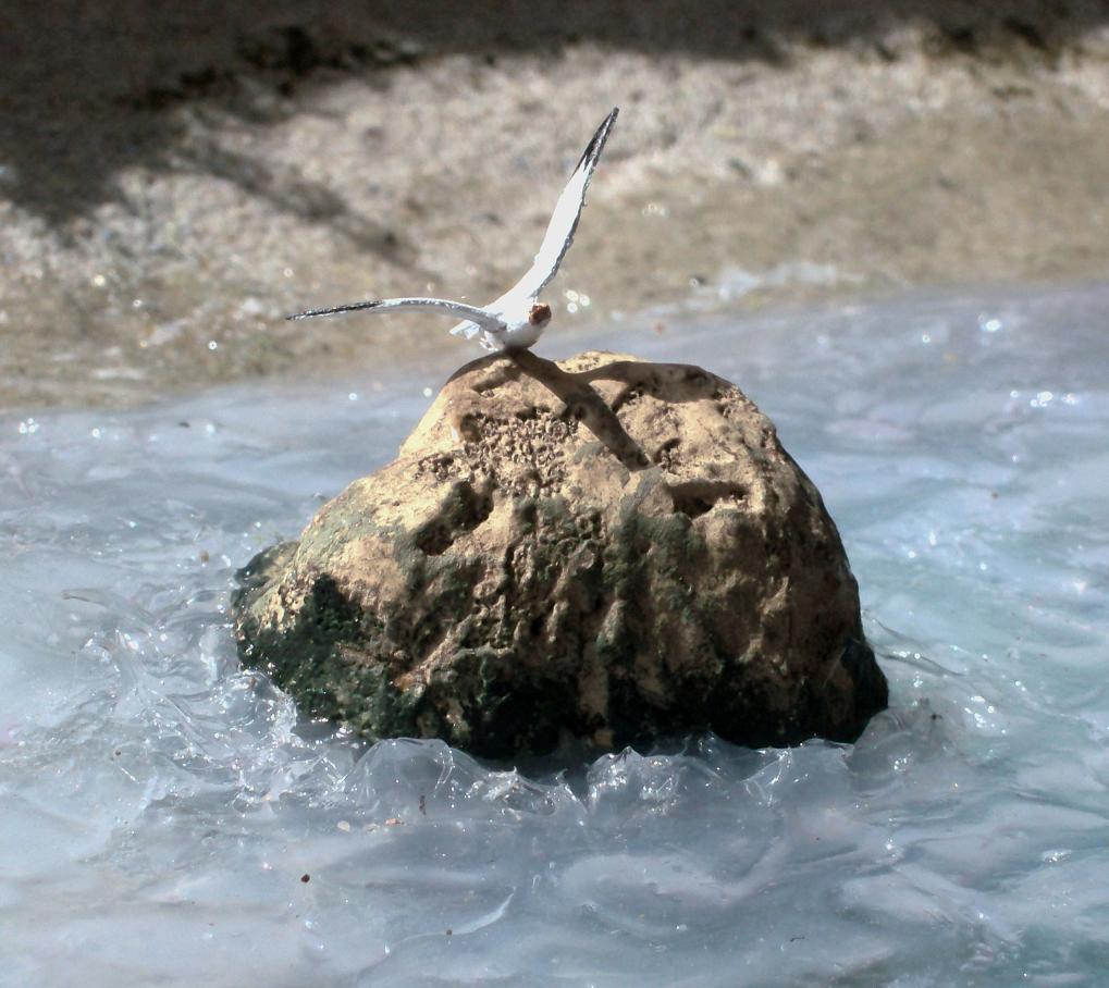 HPIM0277.JPG