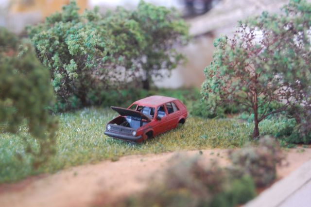 DSC_4278.jpg