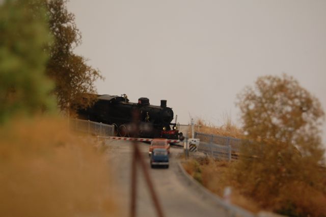 DSC_4269.jpg