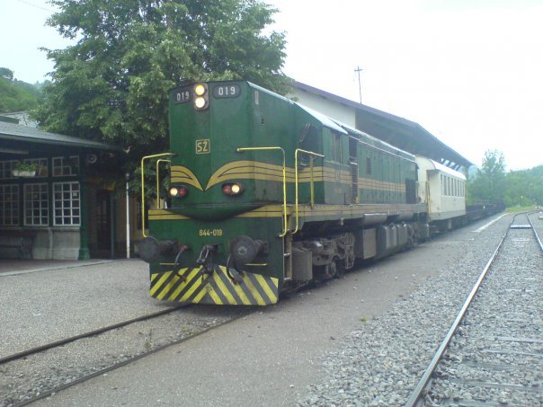 51556006.jpg