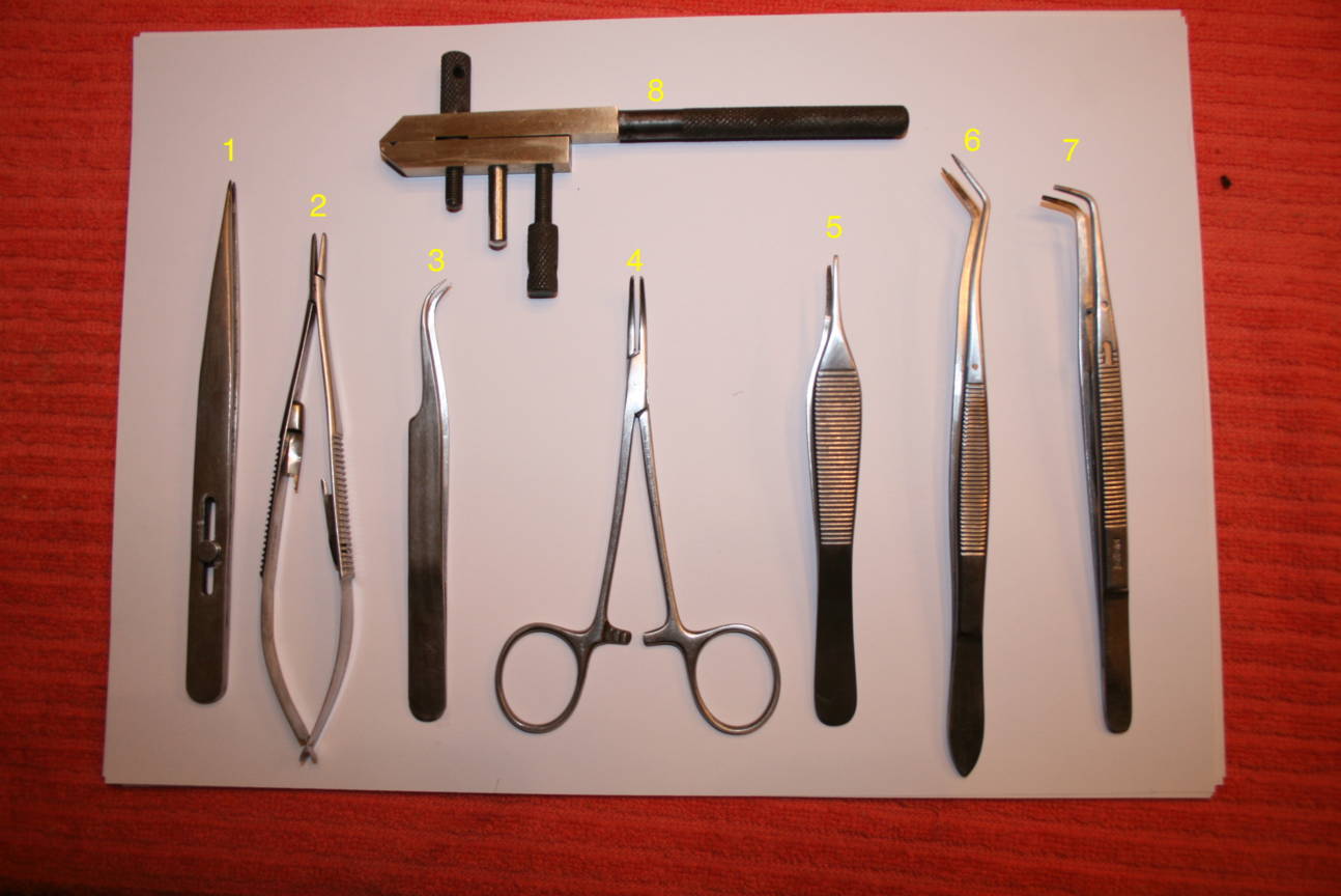 IMG_9043 (FILEminimizer).jpg