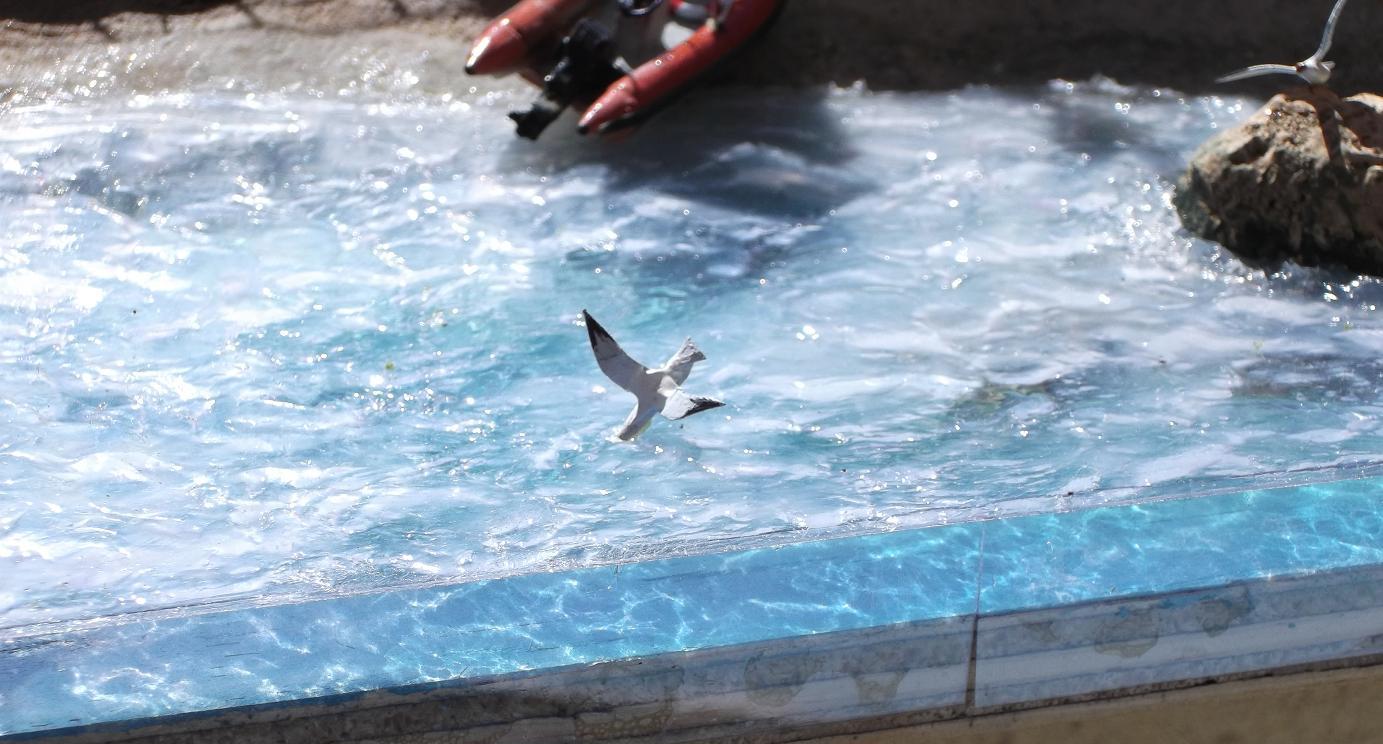 DSCF0178 - Copia.JPG