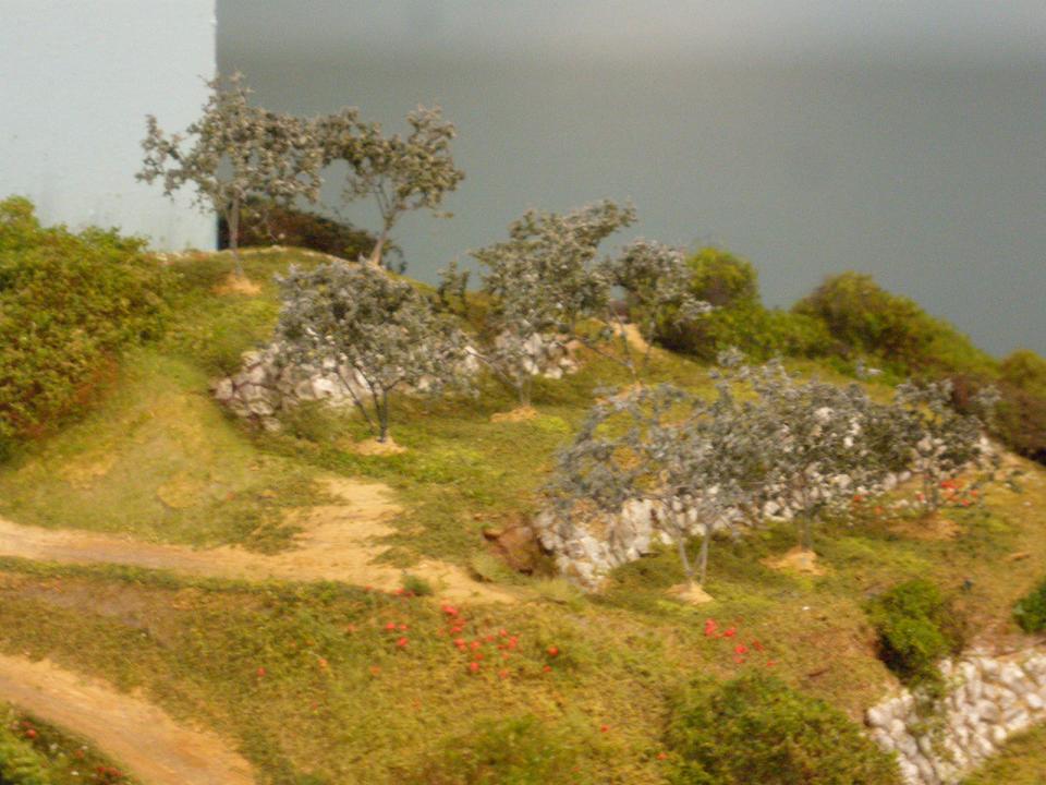 428.49 terrazzi (2).JPG