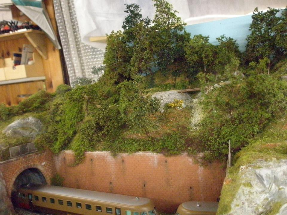 461.52 collina.JPG